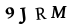 recaptcha image