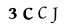 recaptcha image
